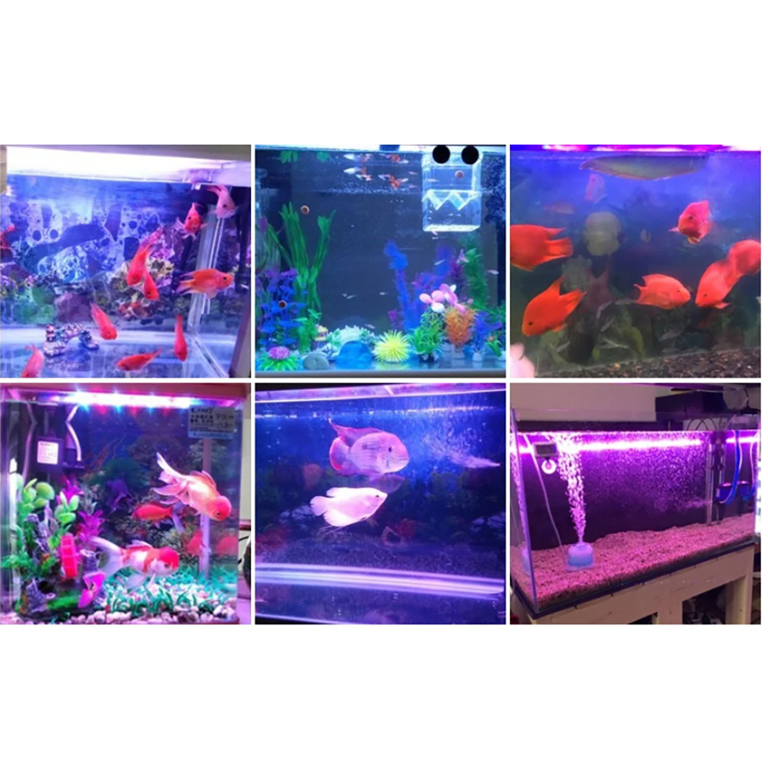 Marine Aquarium Uv - 50W 60W 70W 100W RGB 26-28V